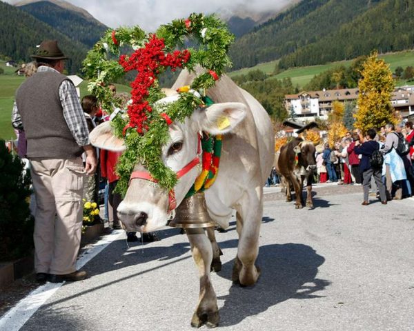 Residence Treyer in Terenten - Südtirol