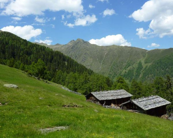 Residence Treyer in Terento - South Tyrol
