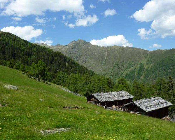 Residence Treyer a Terento - Alto Adige