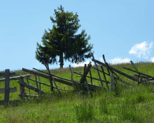 Residence Treyer a Terento - Alto Adige